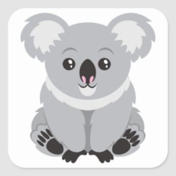 Koala