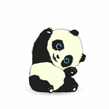 ponçik bir panda