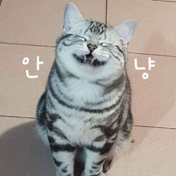 깡젼 :D