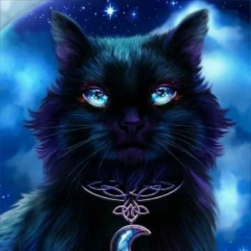 }[moon_kitty]{