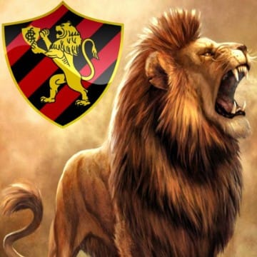 Lú sport Recife