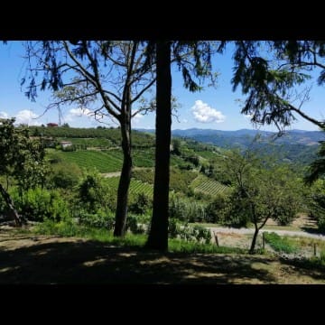 Giulia nature