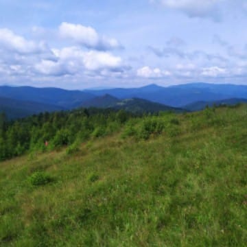 Вікторія🌾