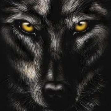 Black WEREWOLF