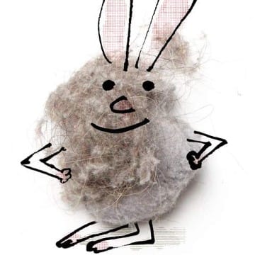 DustBunny