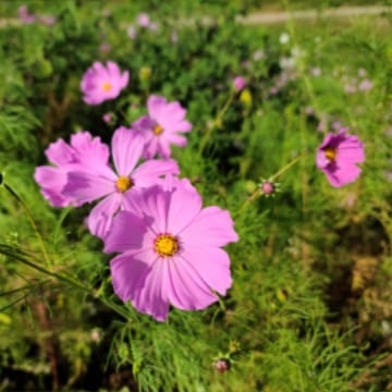 100병토론