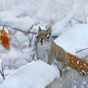 Наця❤️