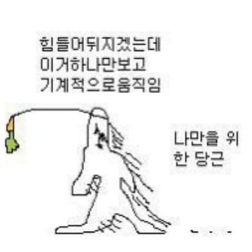 편두통