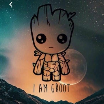 groot_18_11