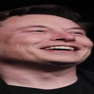 Elongated Musk