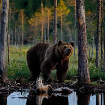 Россия🇷🇺