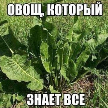 Татьяна