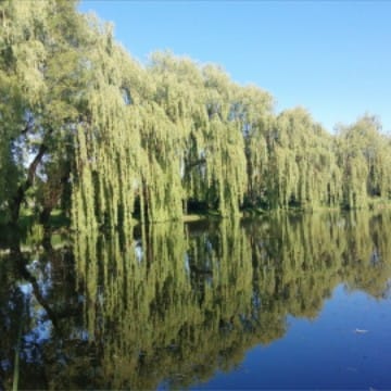 Oluśka