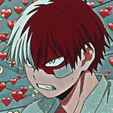 Todoroki_Fan❤️