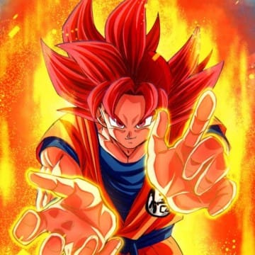 goku_soku 