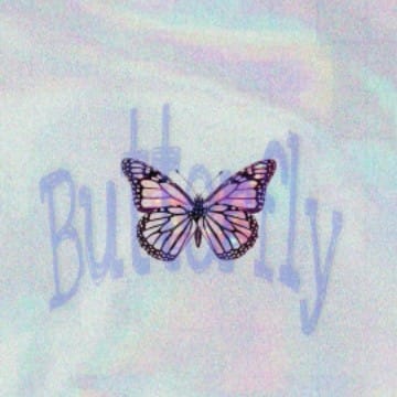 butterflysly