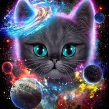 Space kitty