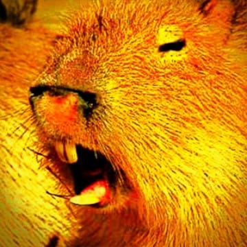 SirCapybara