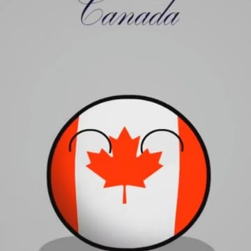 一只可爱的加拿大球