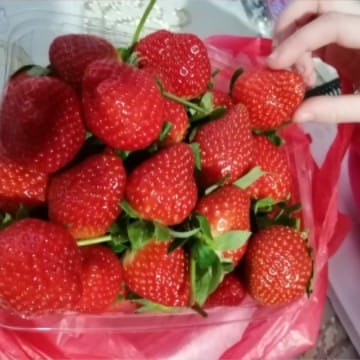 strawberry