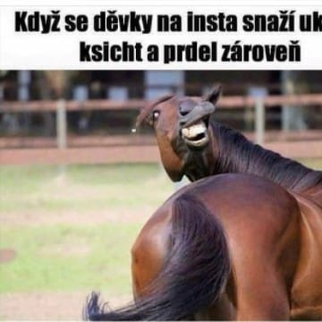 Amálka