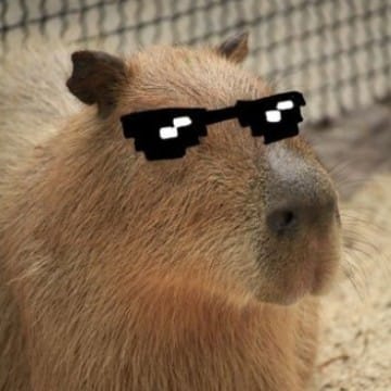 Capybara ✨ 