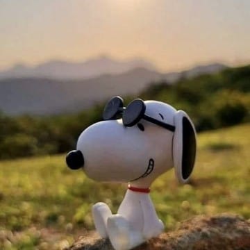 Snoopy 