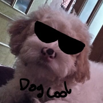 Dog Cool