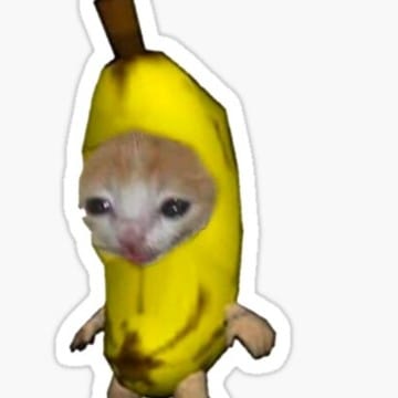 Banana cat