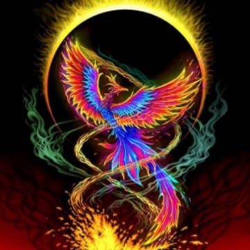  Ave Fenix 