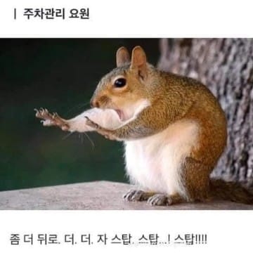 다람쥐이