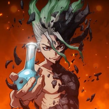 Dr. Stone