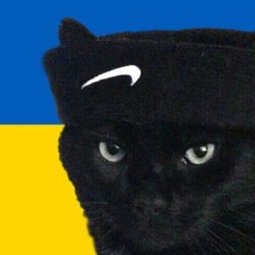 Матвій