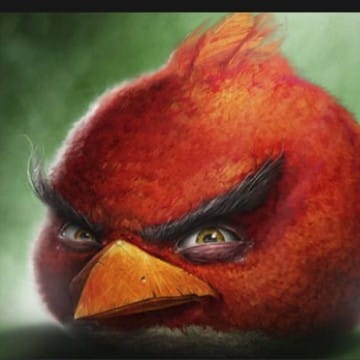 el_angry_bird