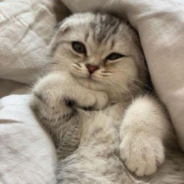 никита