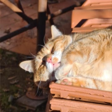 Вічно хочу спатки😵