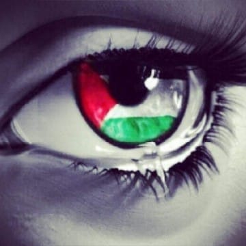 Imad free Palestine 