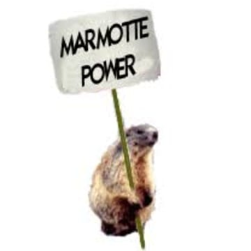 Marmotte17