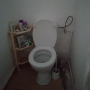 Skibidi Toilet