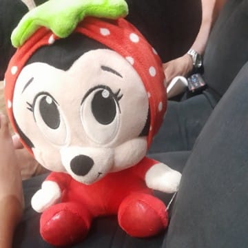 Minnie inteligente pro