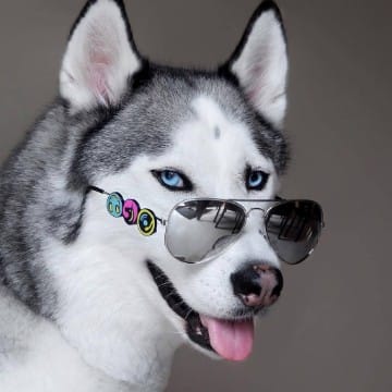 Булочка