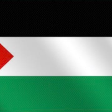 Palestina Free