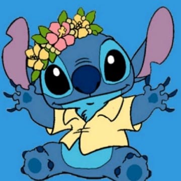  Stitch❤️❤️❤️