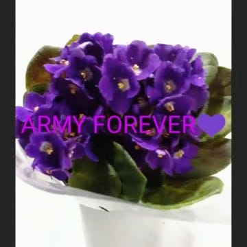 ARMY FOREVER💜