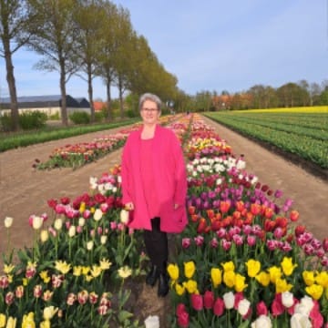 Poldertulp