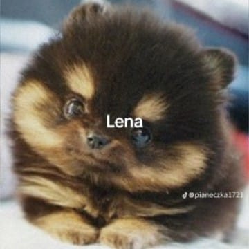 Lena