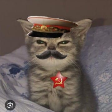 адмирал(котикс)