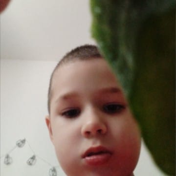 Qgsg